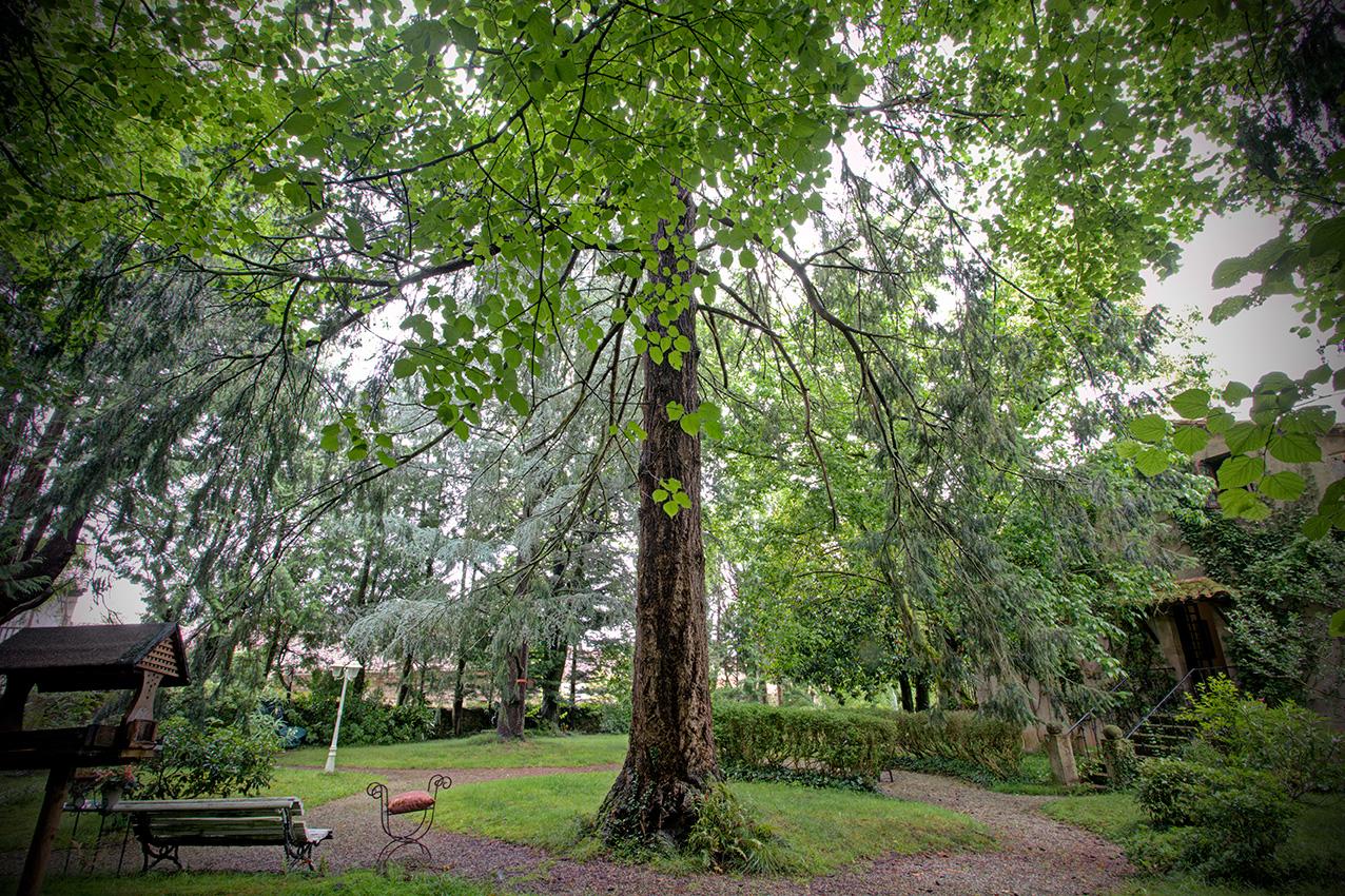 Fotografia propiedad S224