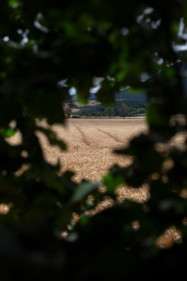 Fotografia propiedad S225
