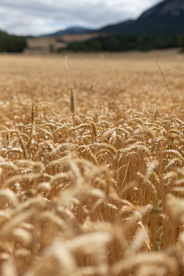 Fotografia propiedad S225