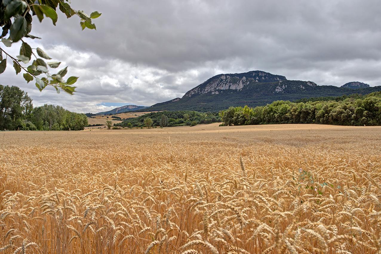 Fotografia propiedad S225