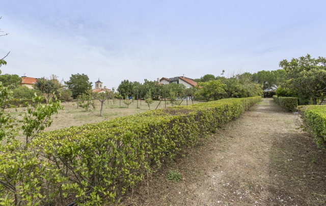 Fotografia propiedad S103