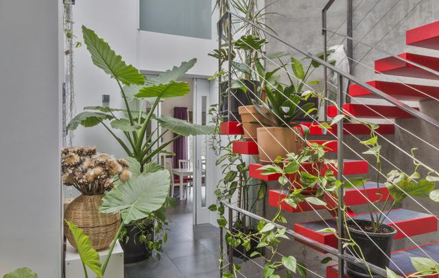 Fotografia propiedad S103