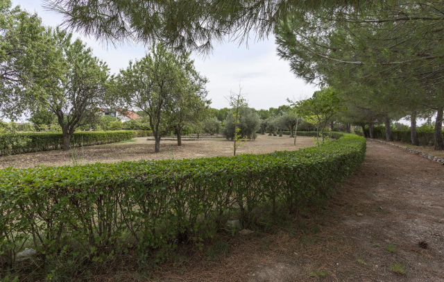 Fotografia propiedad S103