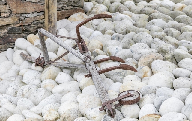 Fotografia propiedad S51