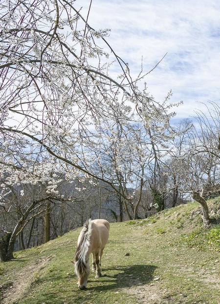 Property image S125