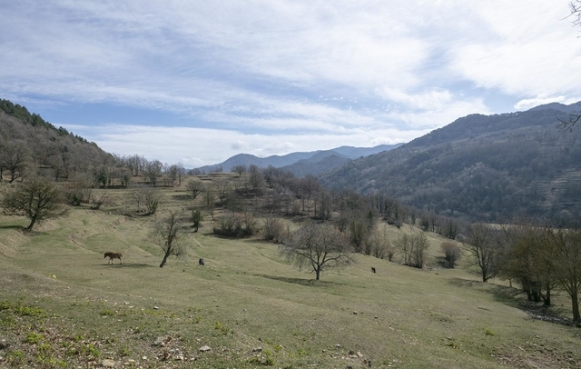Property image S125