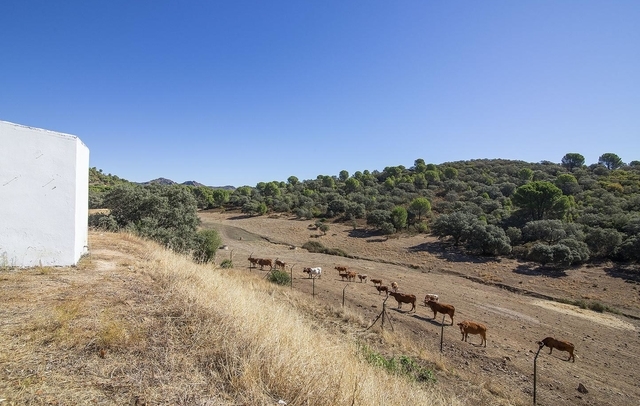 Fotografia propiedad S151