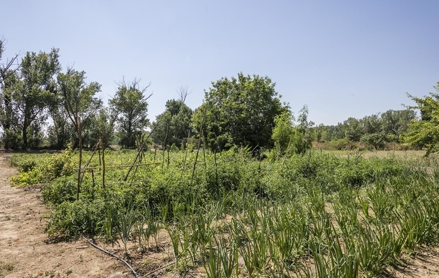 Fotografia propiedad S47