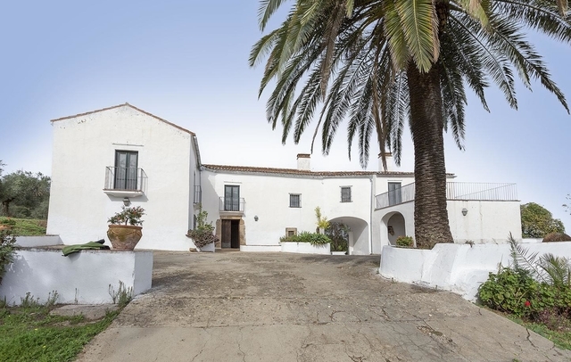 Property image S154