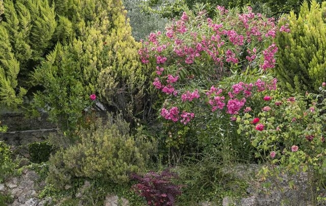 Property image S17