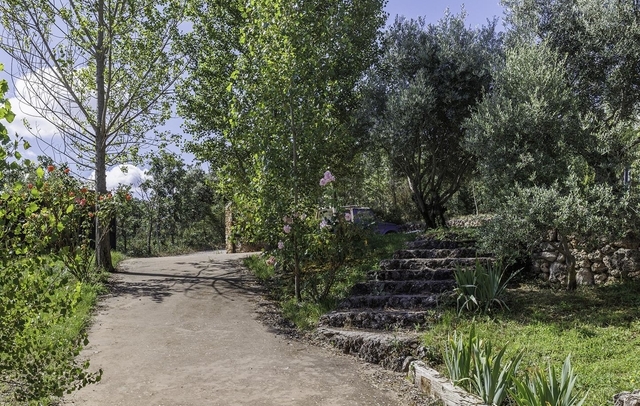 Fotografia propiedad S171