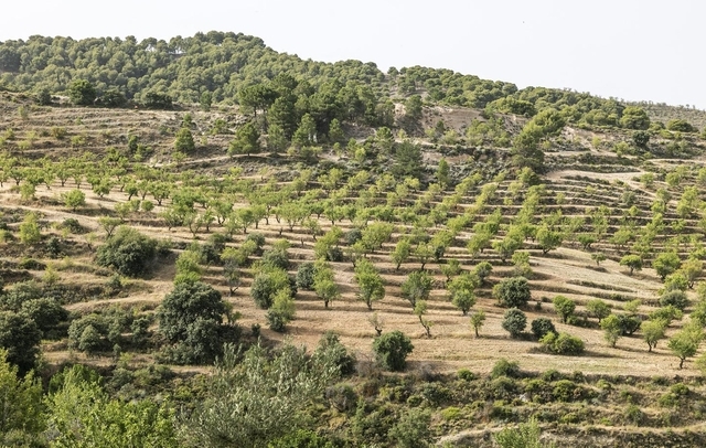 Property image S17