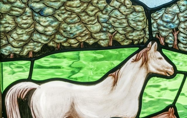 Fotografia propiedad S11