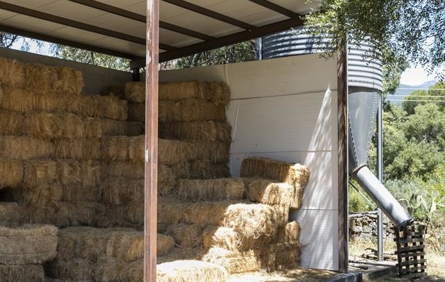 Fotografia propiedad S11