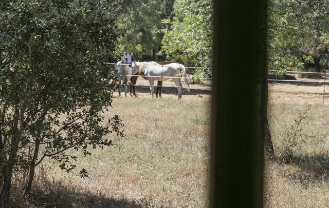 Fotografia propiedad S11