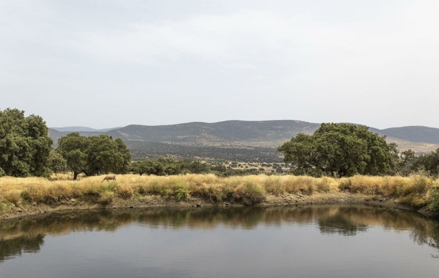 Fotografia propiedad S193