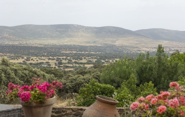 Fotografia propiedad S193