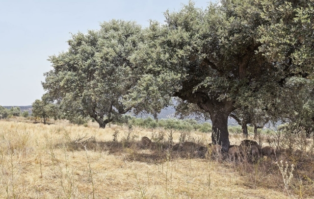 Fotografia propiedad S193