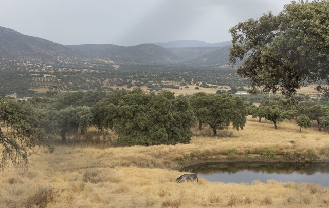 Fotografia propiedad S193