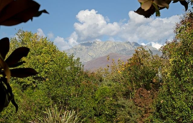 Fotografia propiedad S205