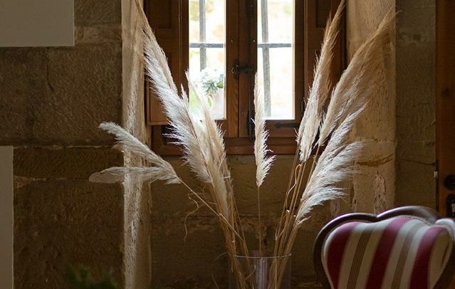Property image S203