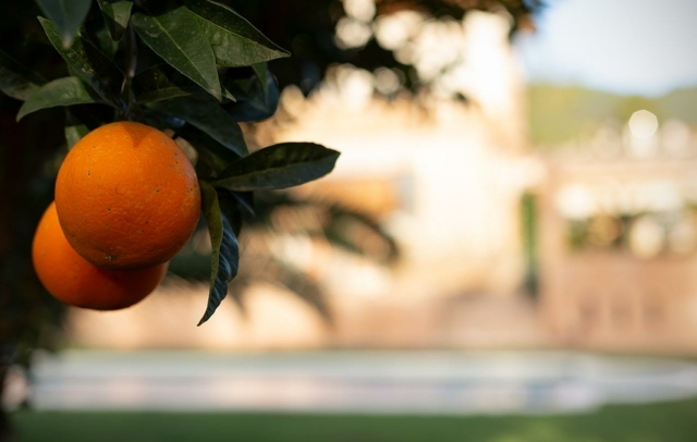 Fotografia propiedad S206