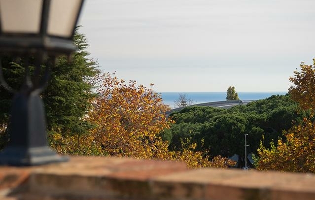 Fotografia propiedad S206