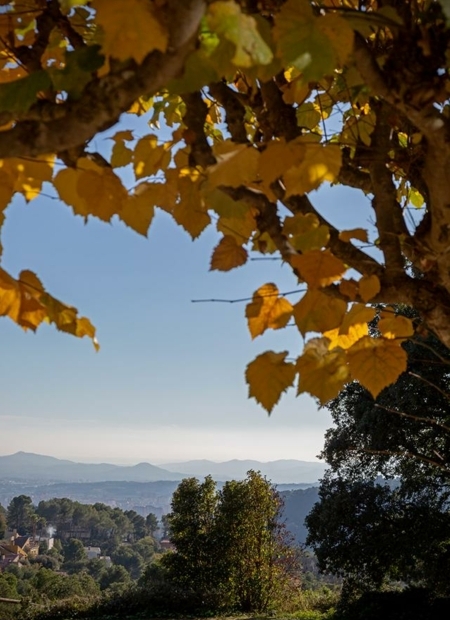 Fotografia propiedad S207