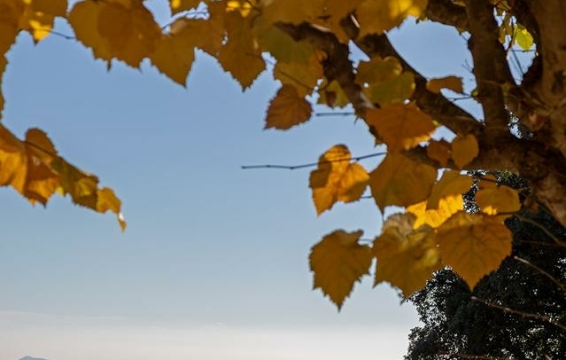 Fotografia propiedad S207