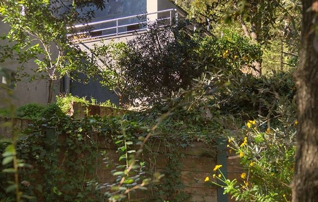 Fotografia propiedad S207