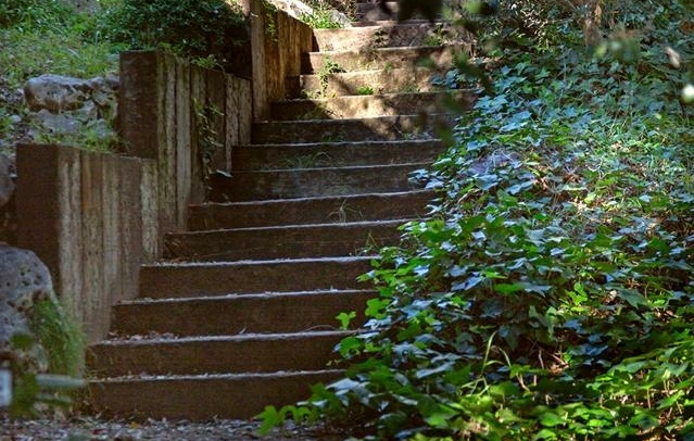 Fotografia propiedad S207