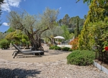 Property image S219