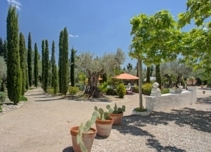 Property image S219