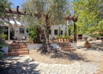 Property image S219