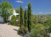 Property image S219