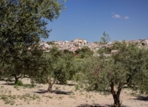 Property image S219