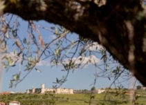 Property image S219