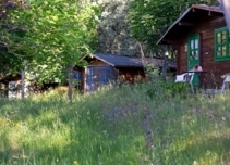 Property image S220