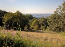 Property image S220