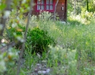 Property image S220