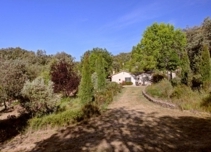 Property image S220