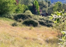 Property image S220