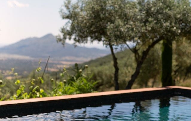 Fotografia propiedad S221