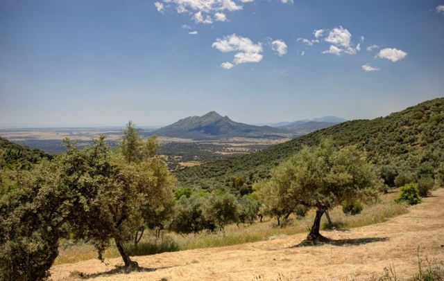 Fotografia propiedad S221