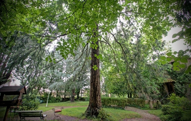 Fotografia propiedad S224