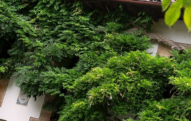 Fotografia propiedad S224