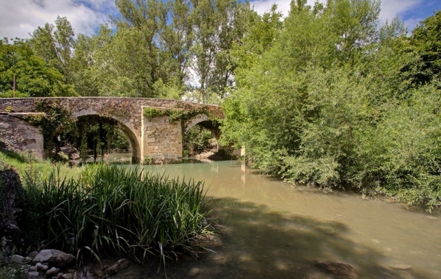 Fotografia propiedad S225