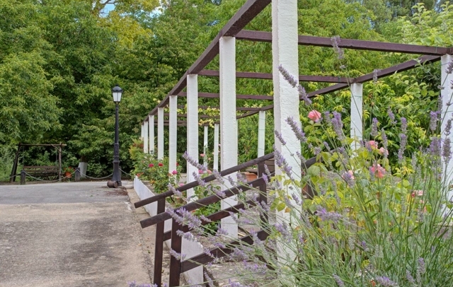 Fotografia propiedad S225