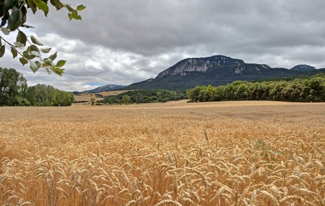Fotografia propiedad S225