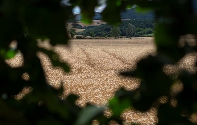 Fotografia propiedad S225